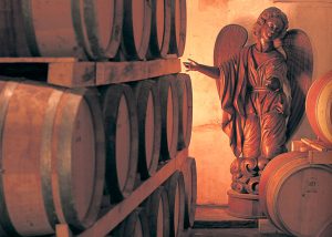 Viñas Montes barrel room
